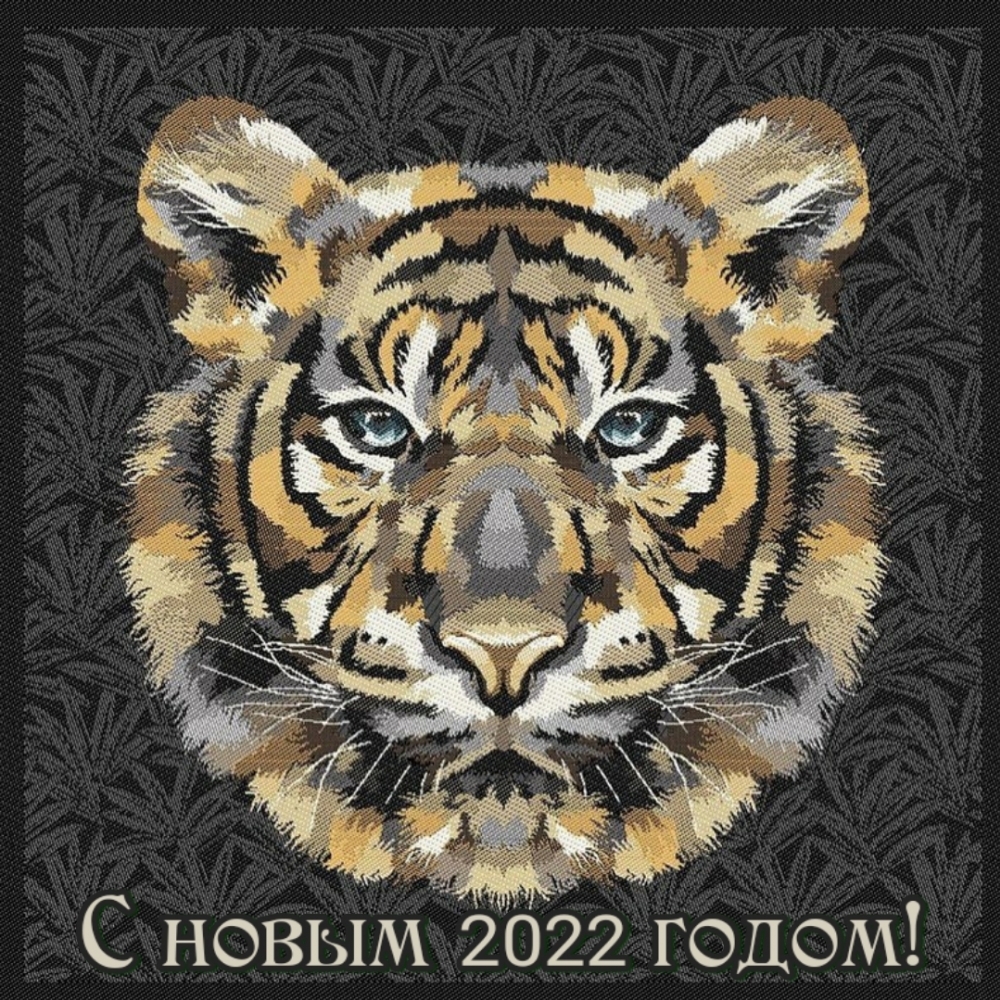   2022 !
