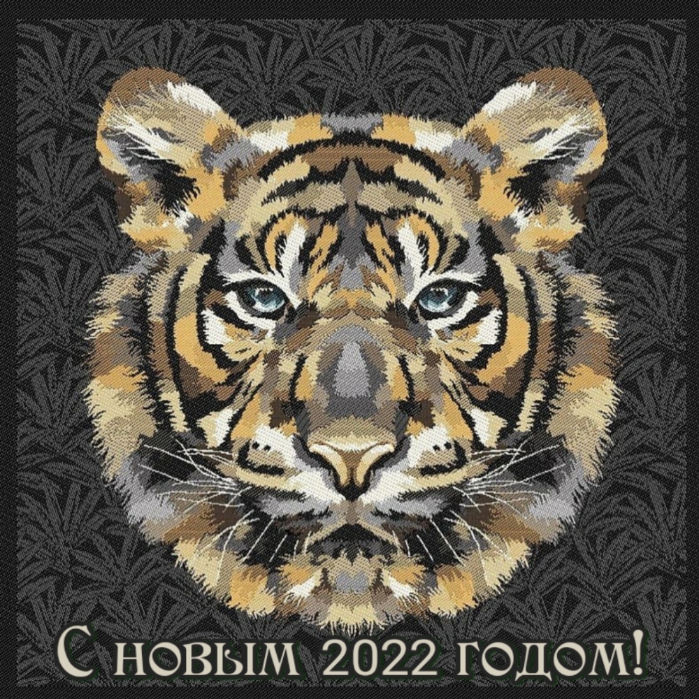   2022 !