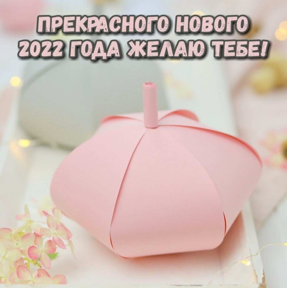   2022   !