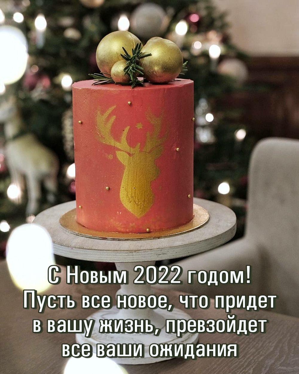   2022 !