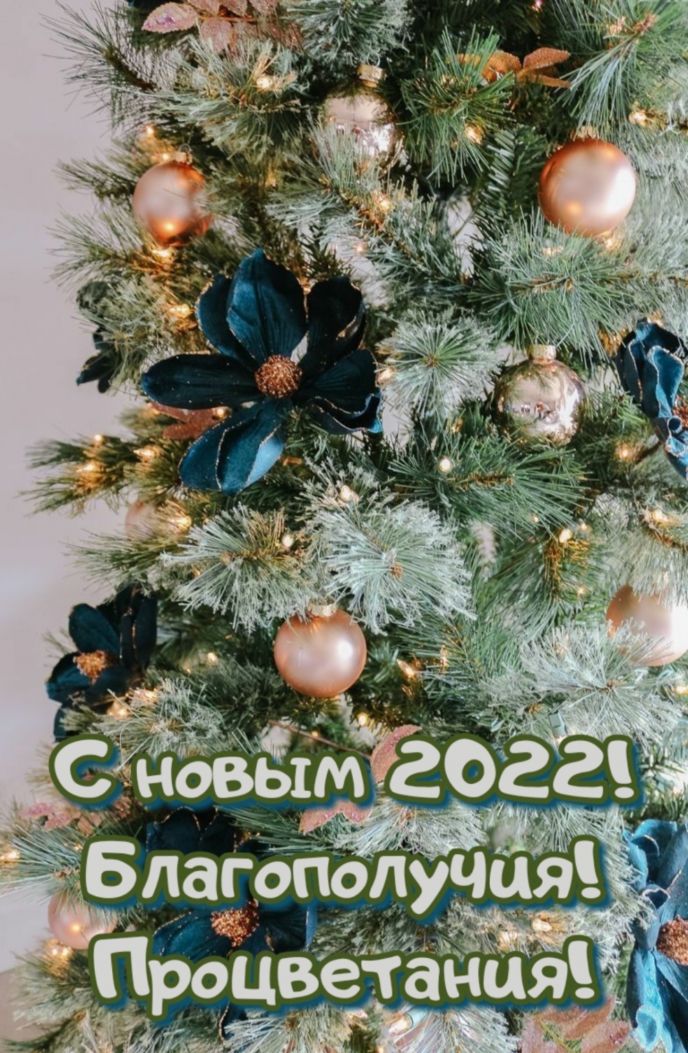   :   2022! ! !
