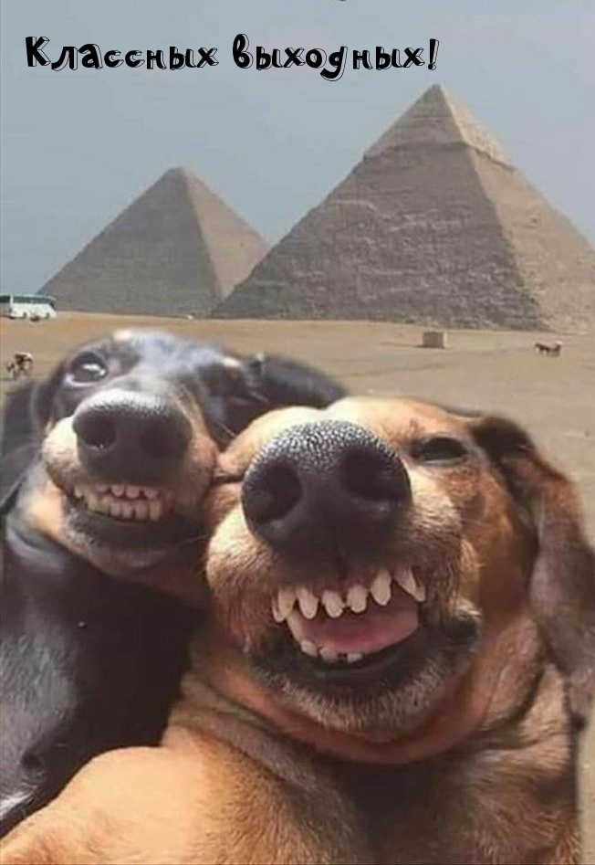  :  !