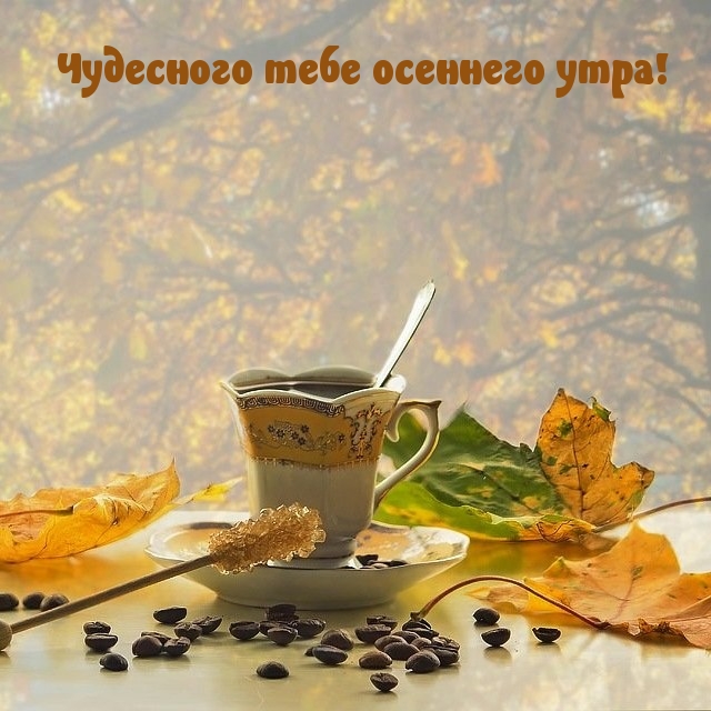 Чудесного тебе осеннего утра!.