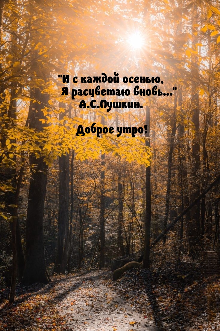    ,   ...  !