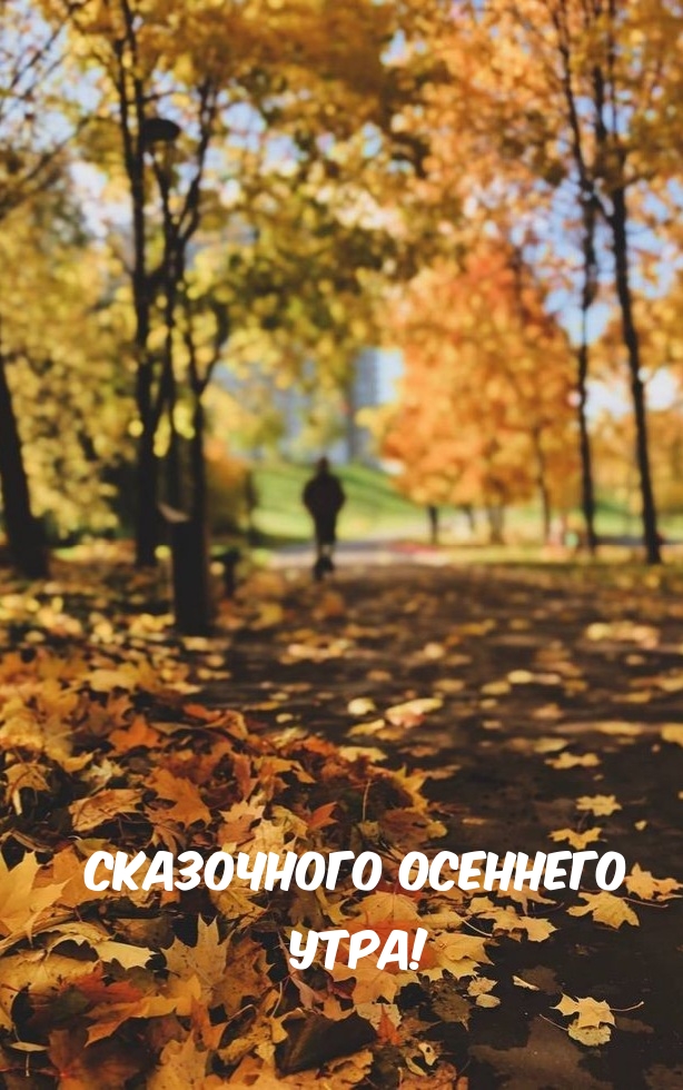   :   !