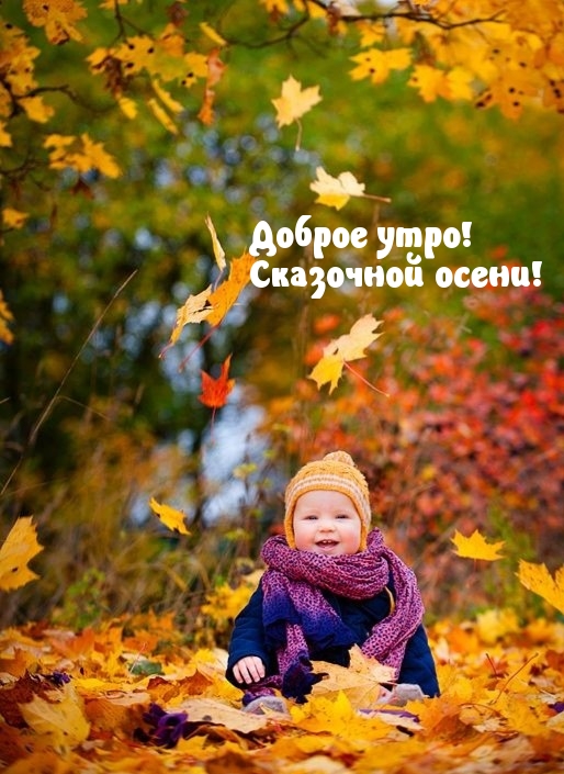  !  !.