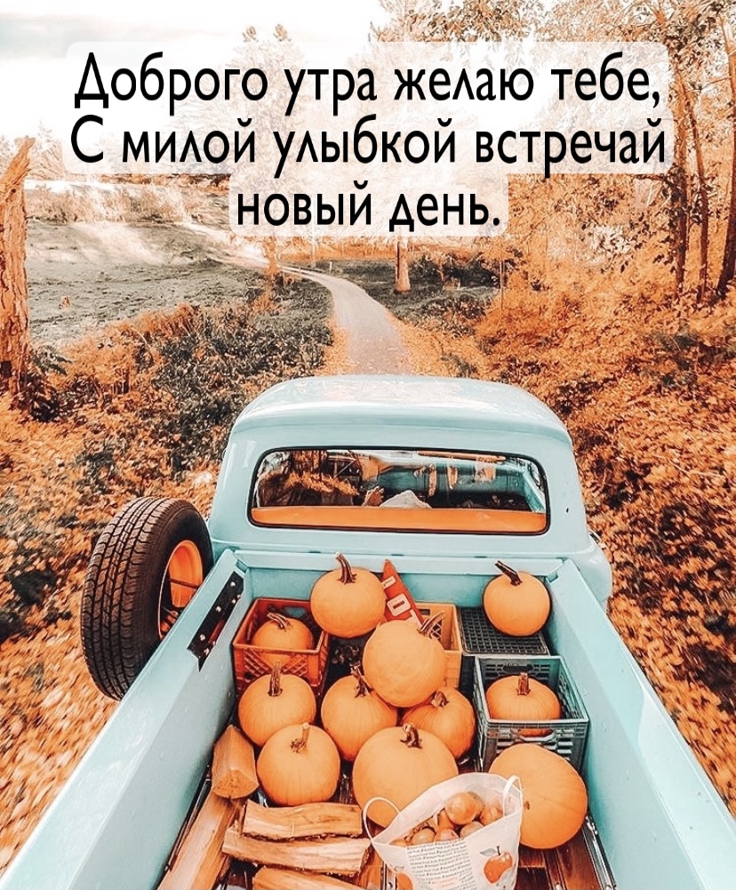   :    ,      .