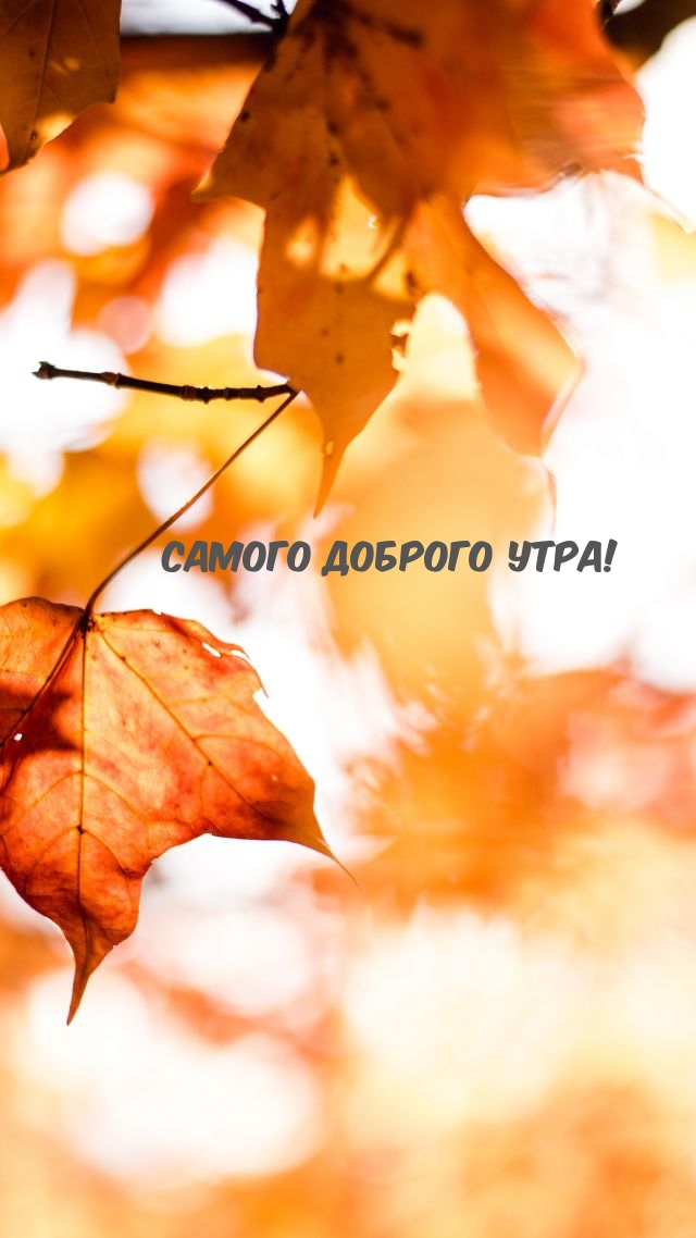   !.