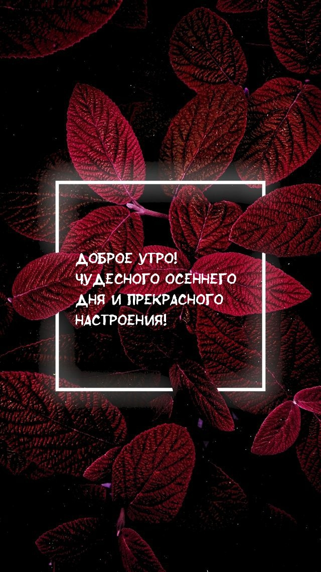 Доброе утро! Чудесного осеннего дня и прекрасного настроения!.
