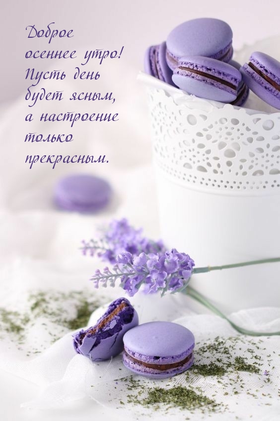   !.