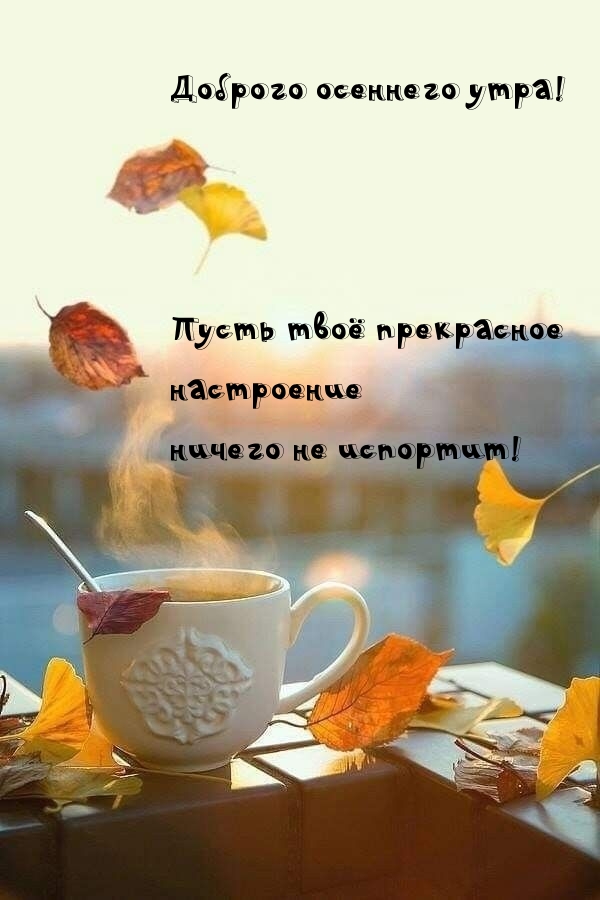 Доброго осеннего утра!  .