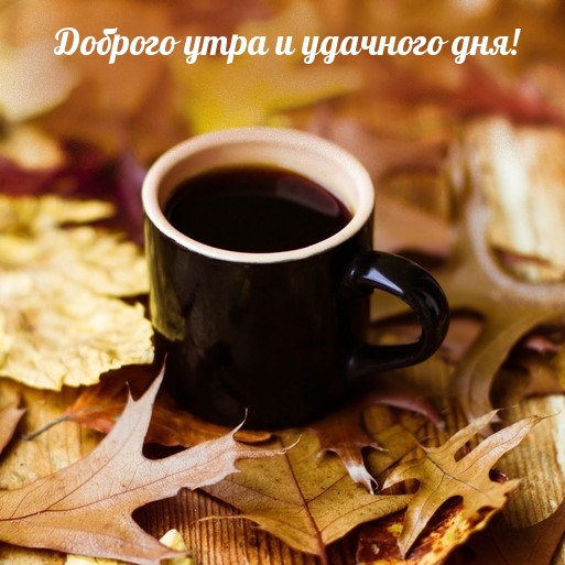     !.