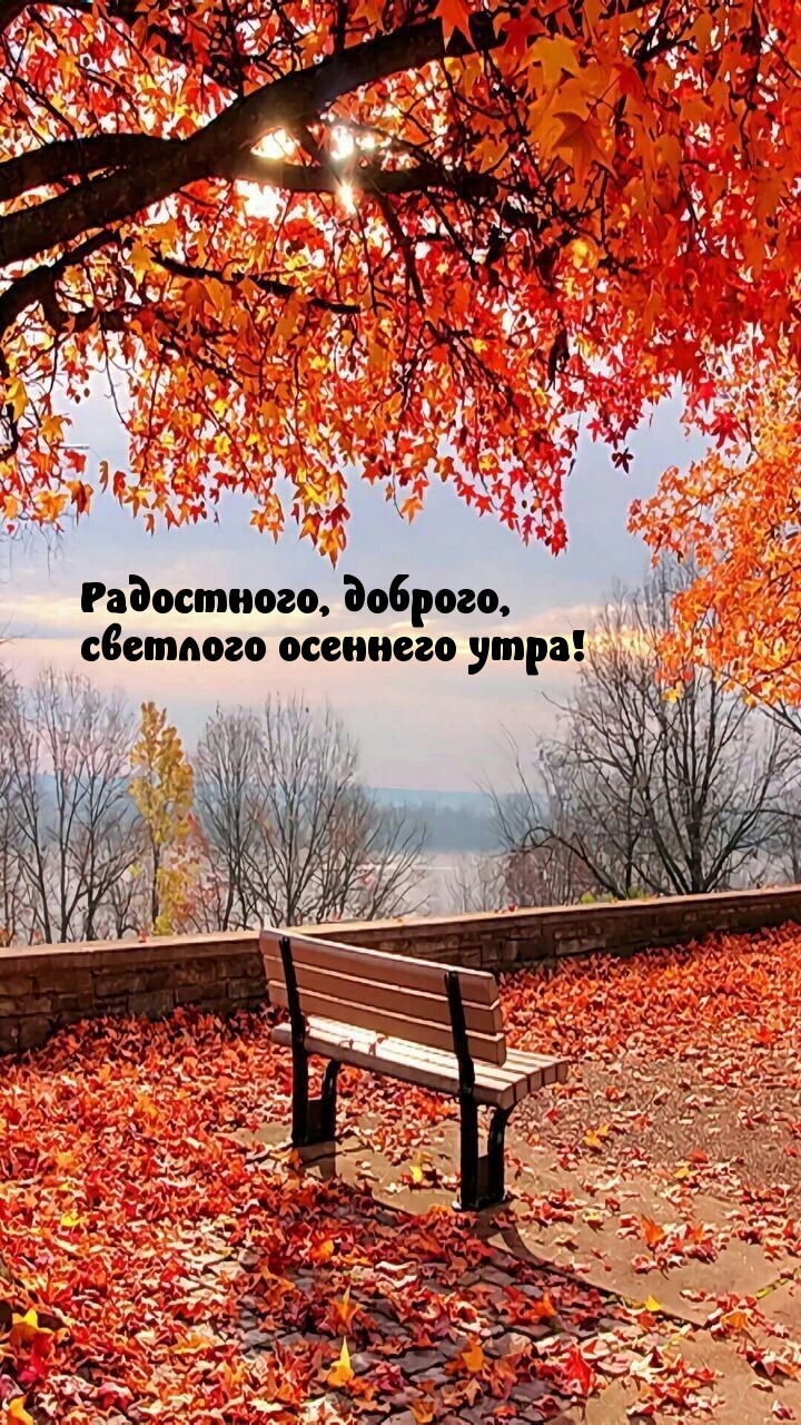 , ,   !.