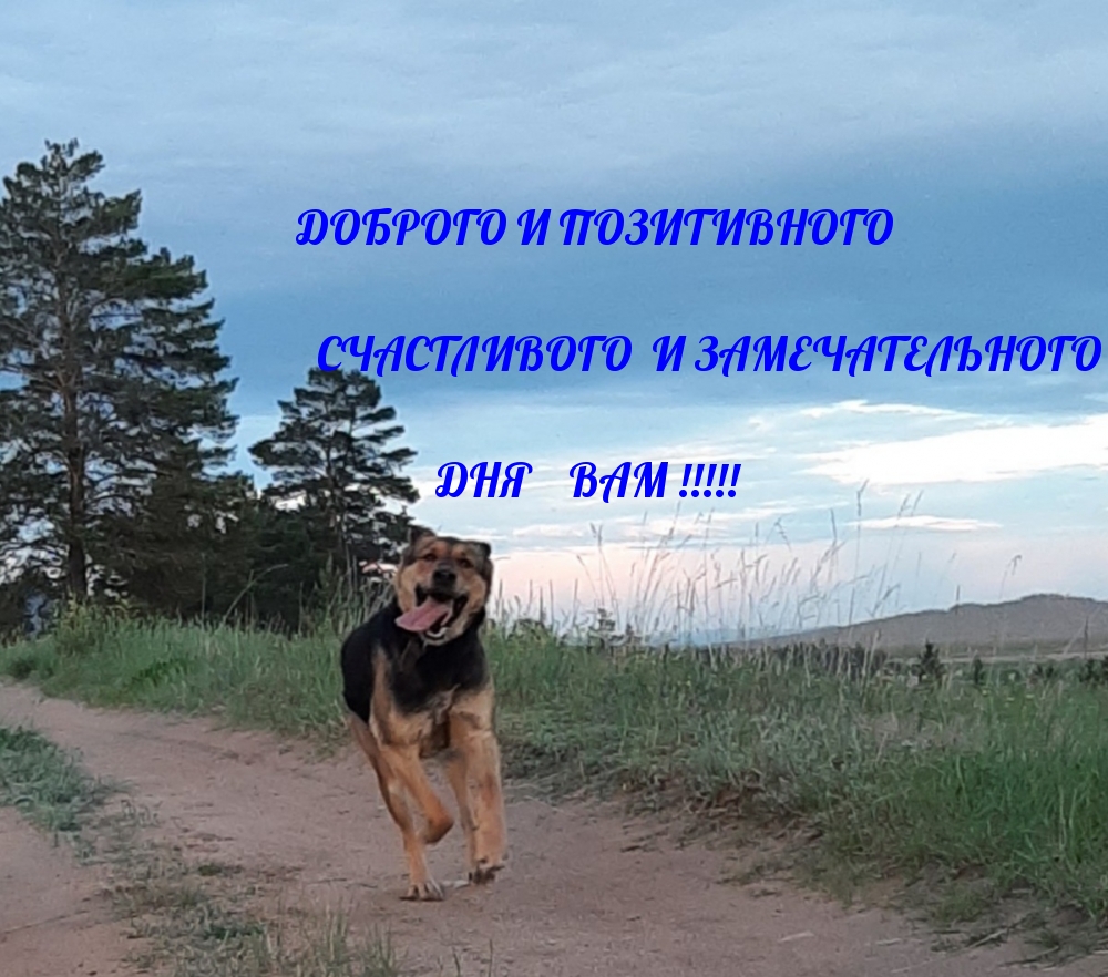   :    