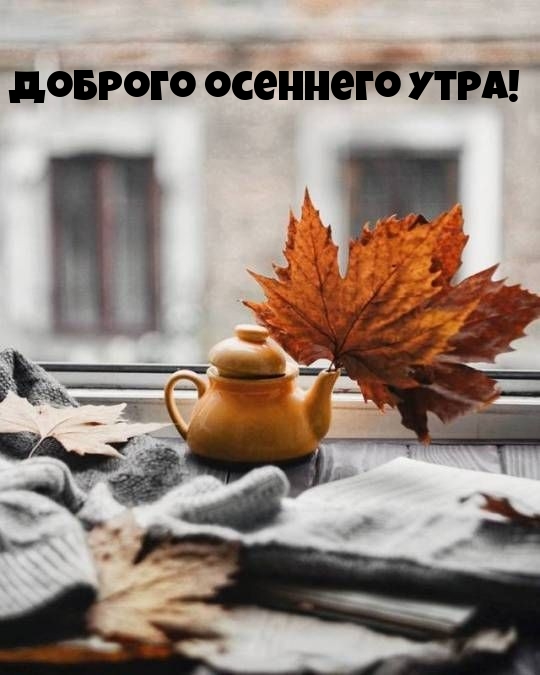   !.