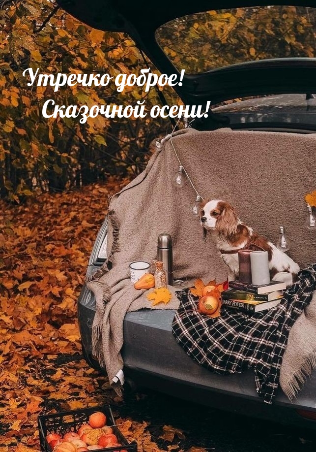  !  !.