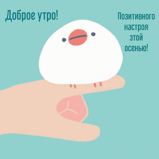   :  !  