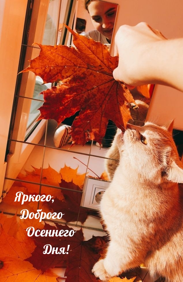 ,   !.