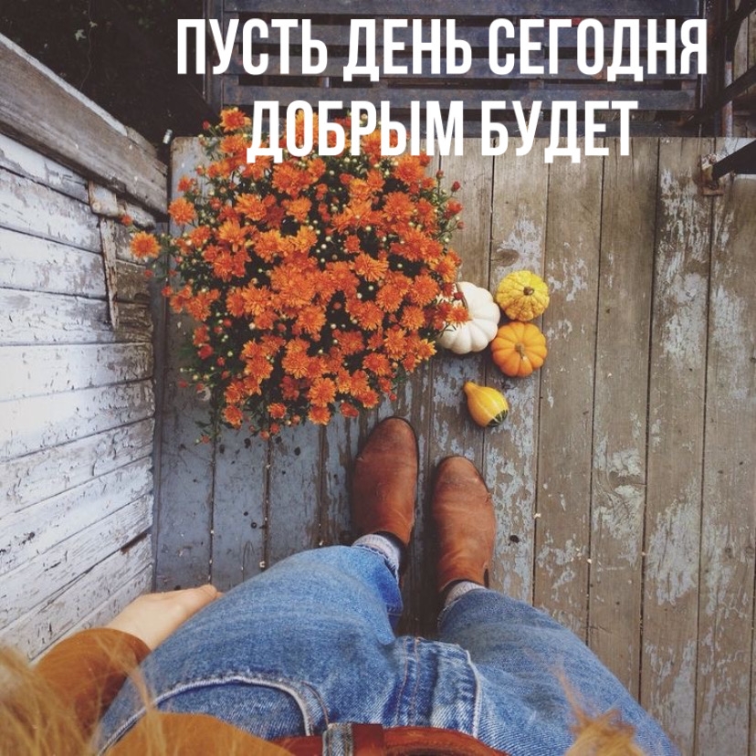 Пусть день сегодня добрым будет