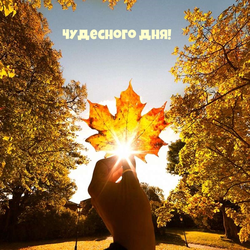 Чудесного дня!