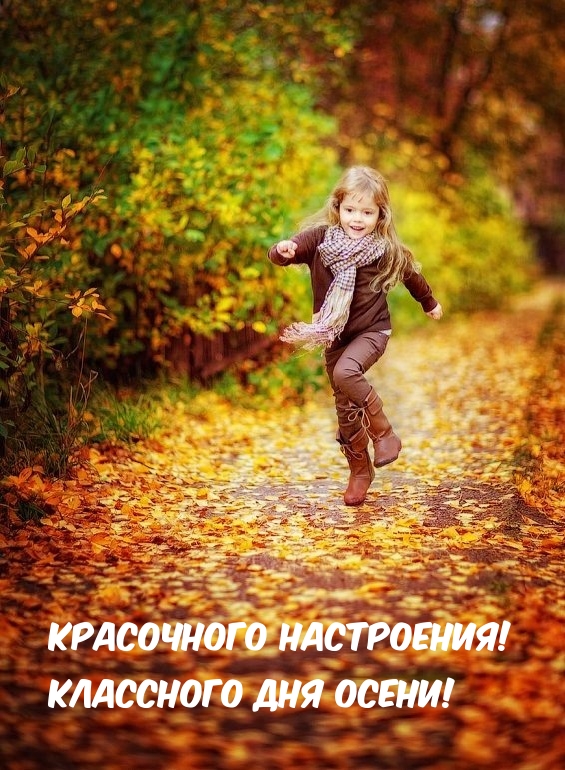  !   !.
