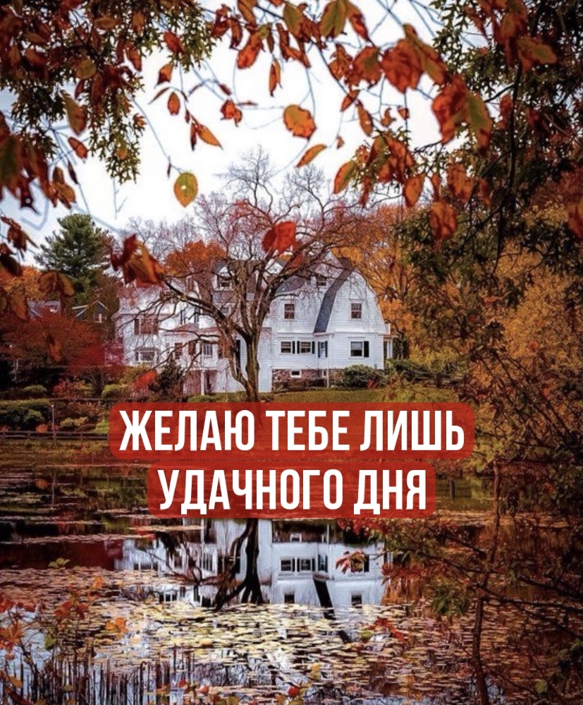 Желаю тебе лишь удачного дня