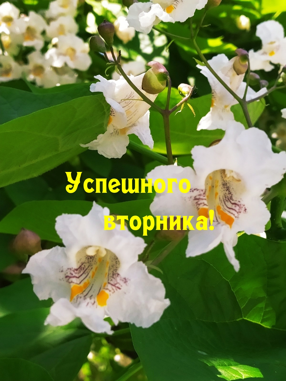   :  !