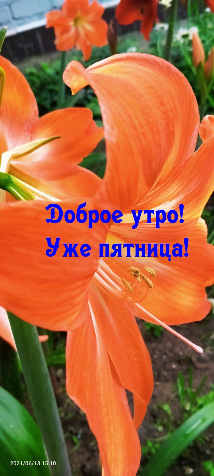   :  !  !