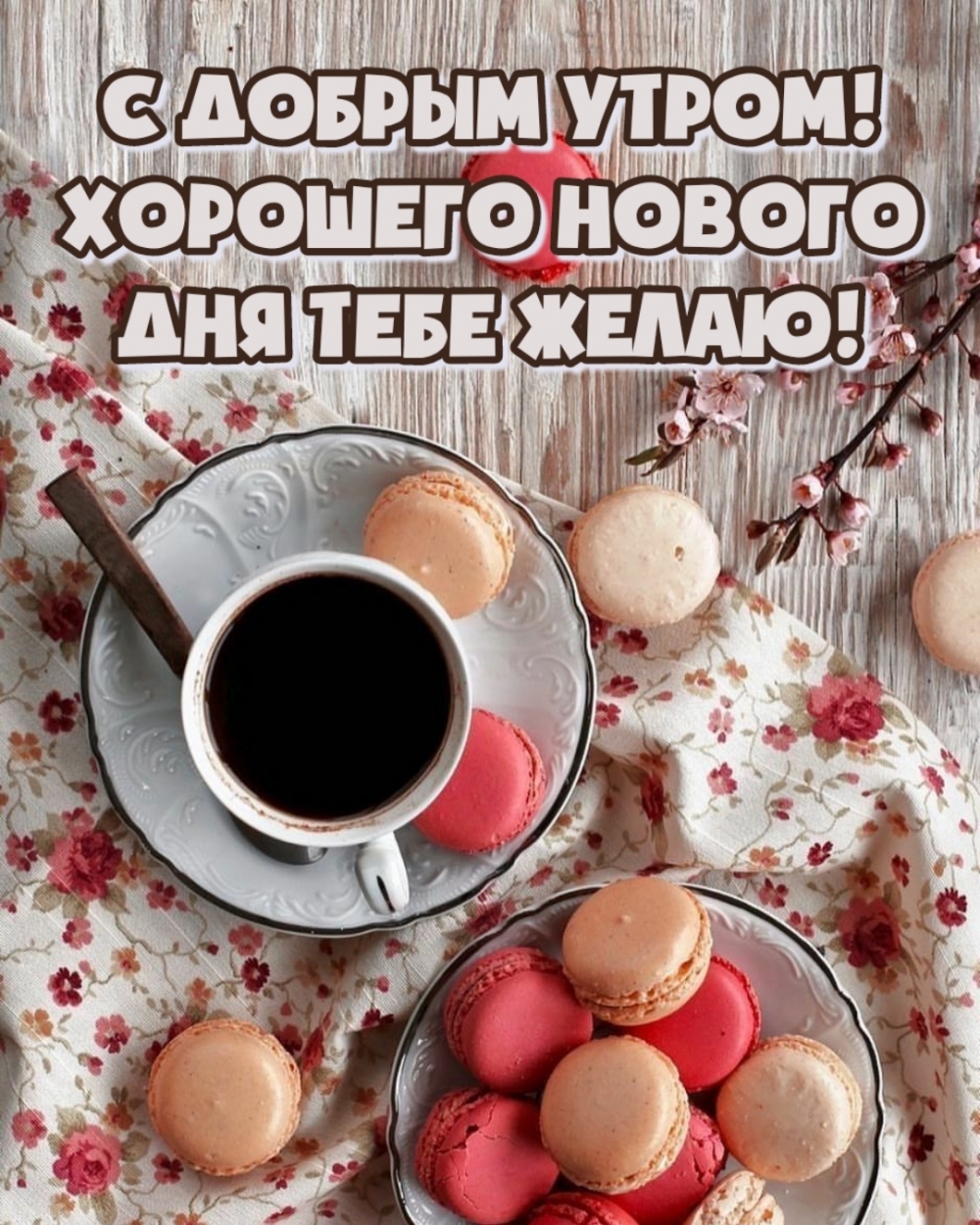   :   !     !