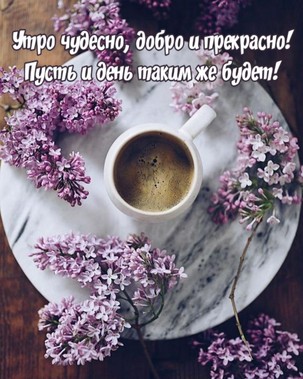   :  ,   !      !