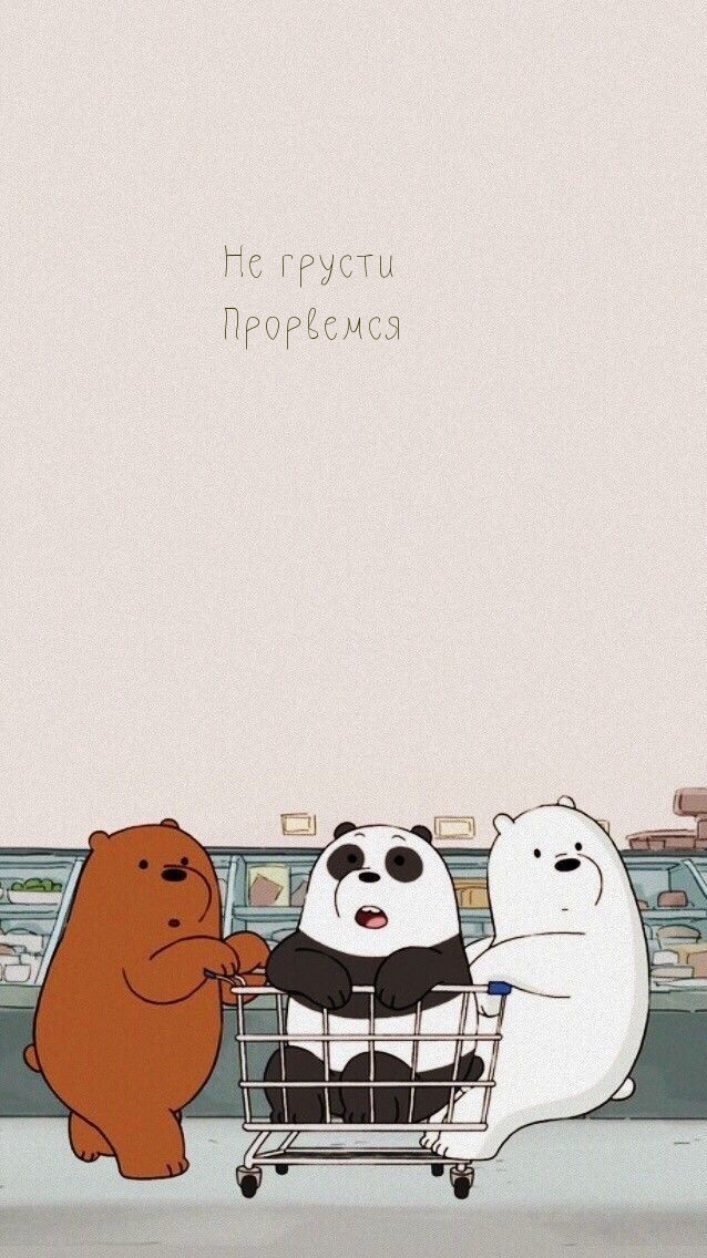   :   