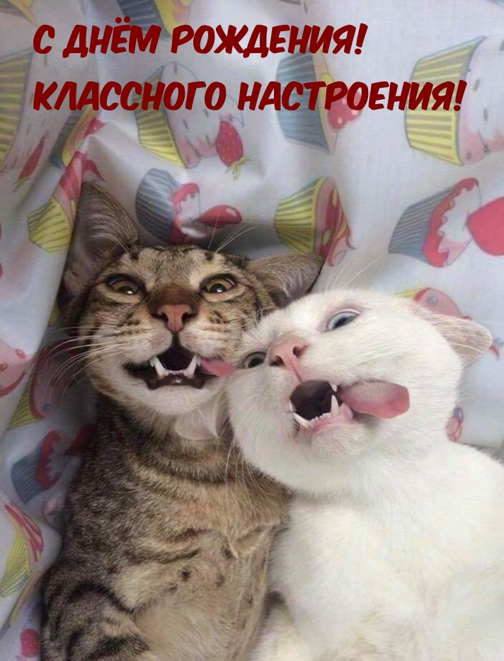 С днём рождения! Классного настроения!.
