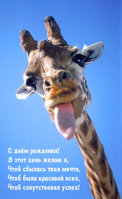 С днём рождения! В этот день желаю я, чтоб сбылась твоя мечта.