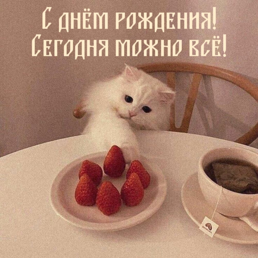 С днём рождения! Сегодня можно всё!