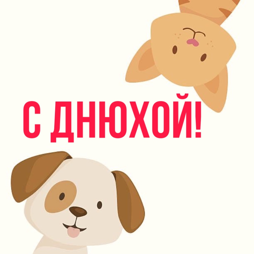 С Днюхой!