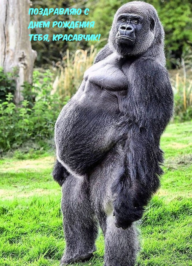     , !.