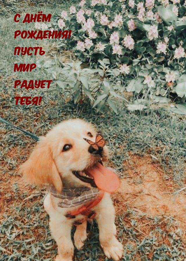   :   !    !