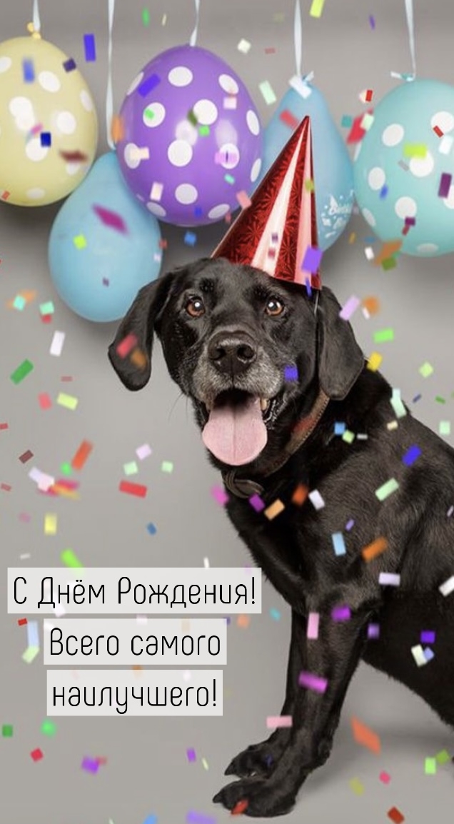   !   !.