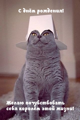 Картинка с надписью: С днём рождения! Желаю почувствовать себя королём этой жизни!
