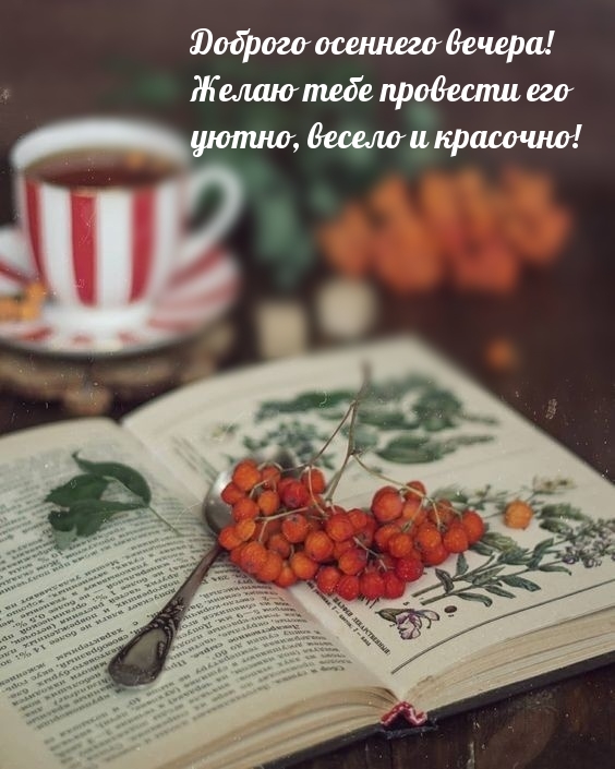 Доброго осеннего вечера! Желаю тебе провести его уютно.