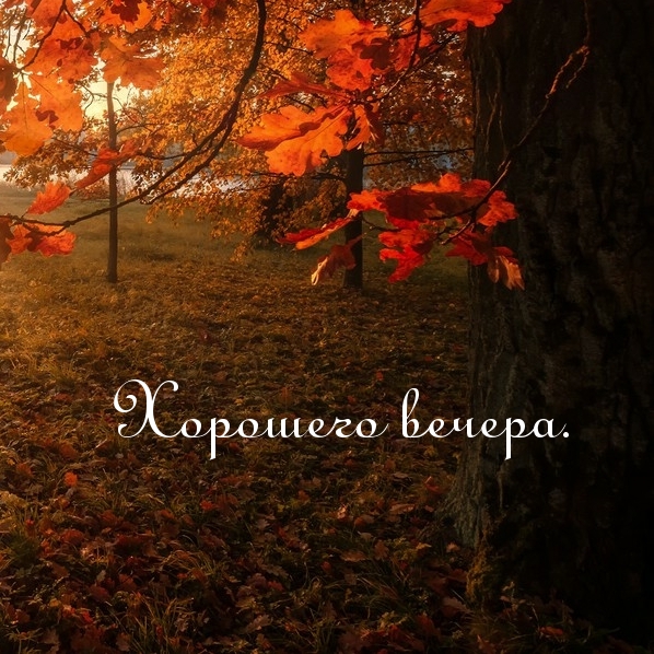   :  .