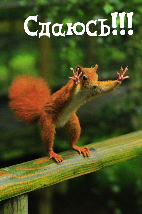   : !