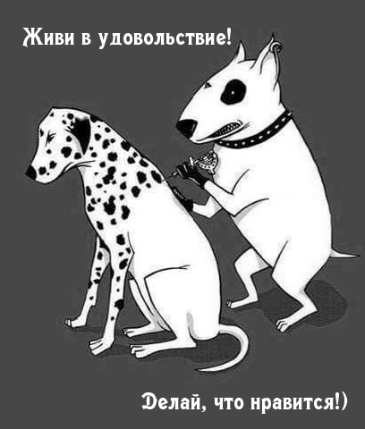 Живи в удовольствие! Делай, что нравится!).