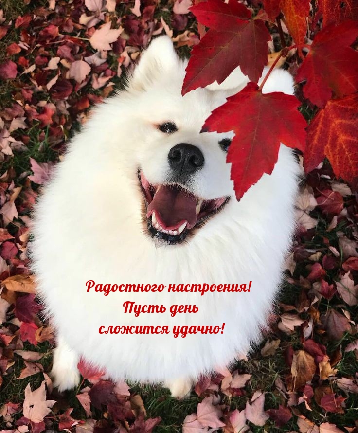  !    !