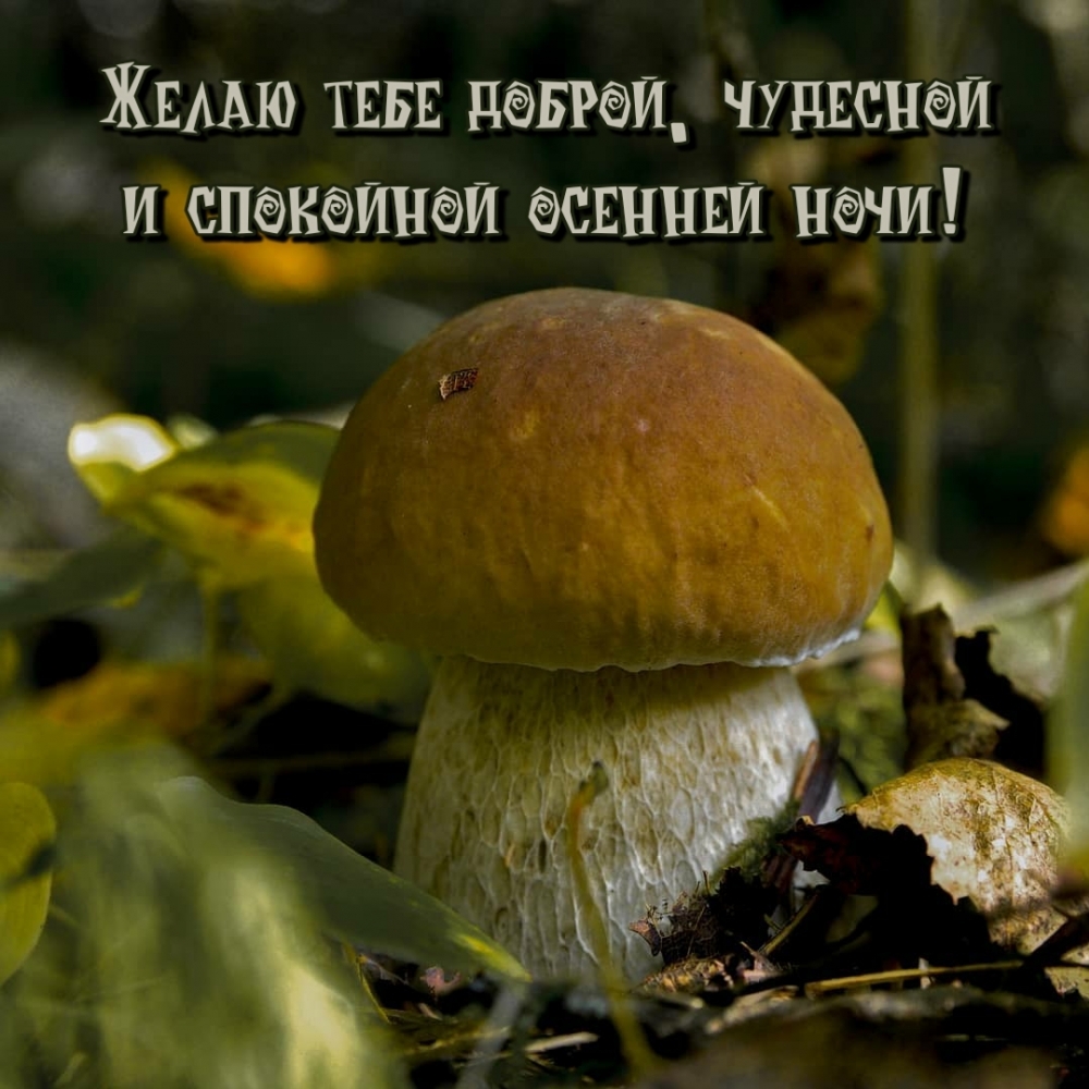   :   ,     !