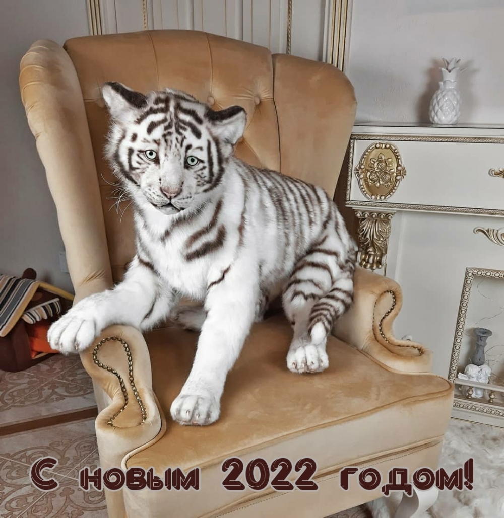   :   2022 !
