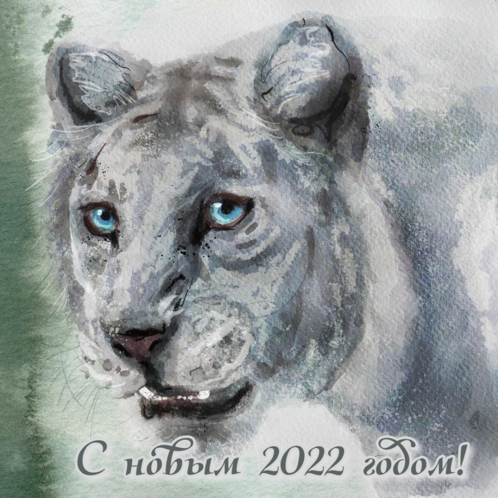   2022 !