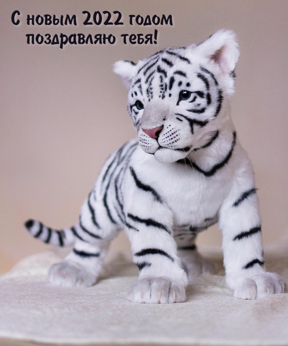 С новым 2022 годом поздравляю тебя!