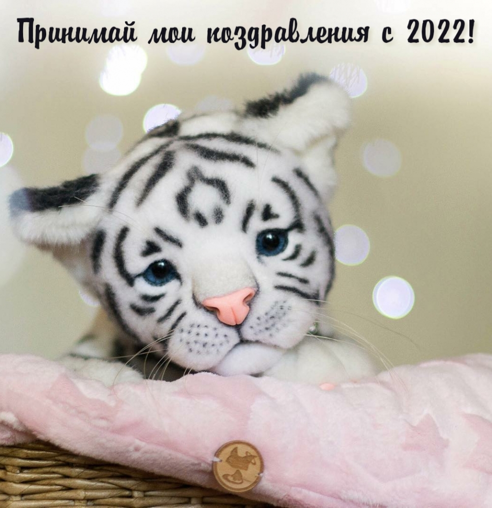 Принимай мои поздравления с 2022!