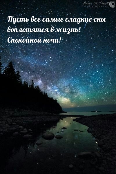 Пусть все самые сладкие сны воплотятся в жизнь! Спокойной ночи!.